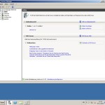 Server-Manager nach der Rolleninstallation